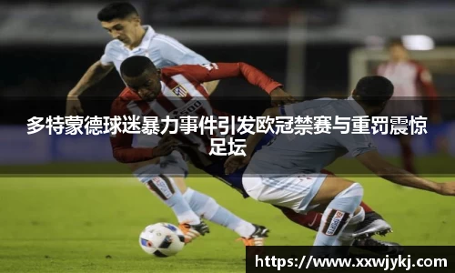 多特蒙德球迷暴力事件引发欧冠禁赛与重罚震惊足坛